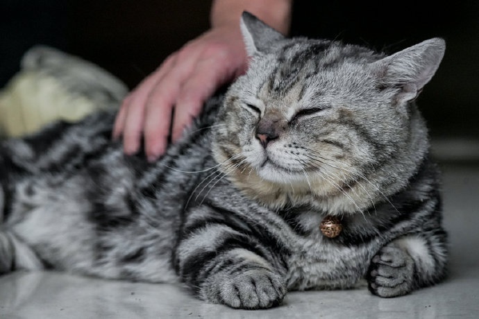 大帅日记 ฅ^••^ฅ 把生活调成自己喜欢的频道